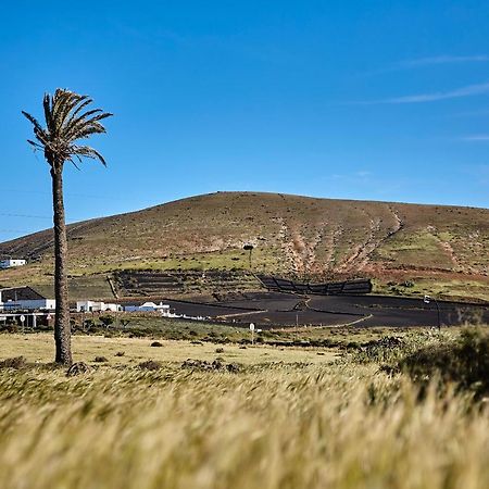 Villa Palmeras Canarias Uga Exteriör bild