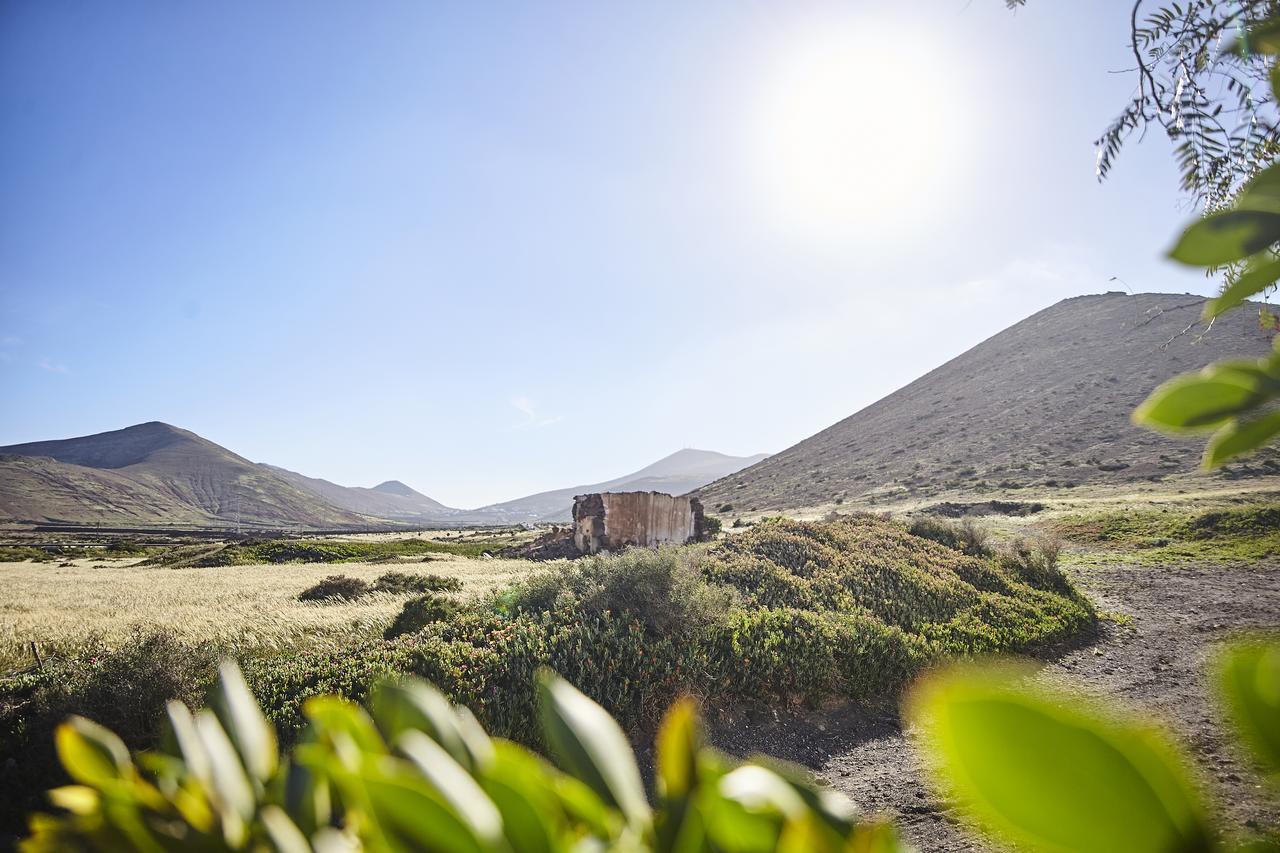 Villa Palmeras Canarias Uga Exteriör bild
